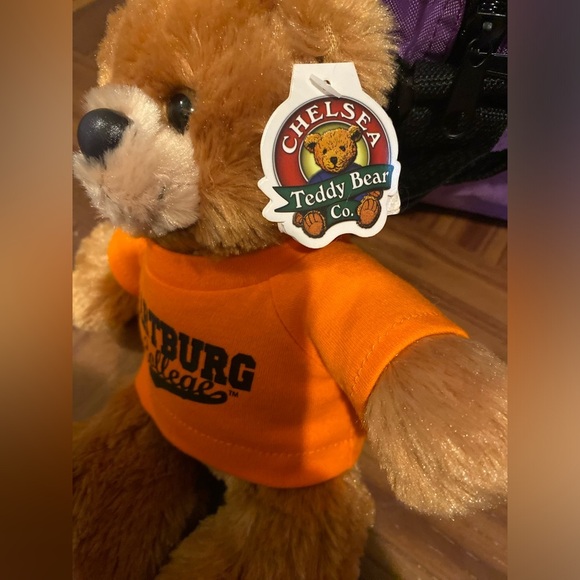 Wartburg College Teddy Bear with Orange Shirt - Picture 2 of 3